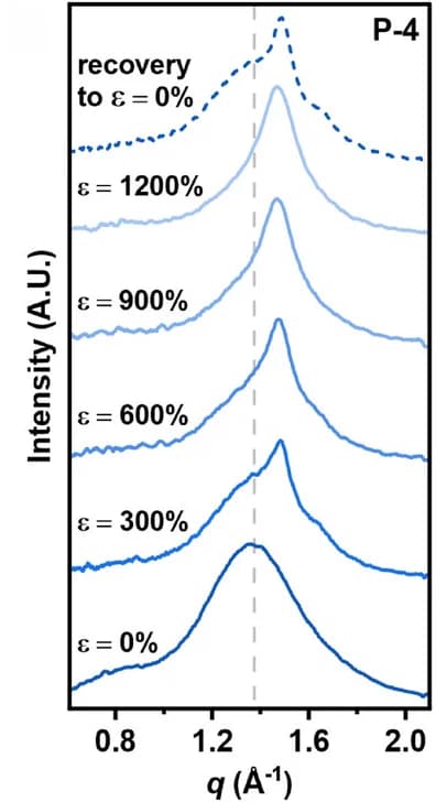 Open access visualization of Line Plot, Density Plot, 1D-WAXS, Intensity Profiles, Strain