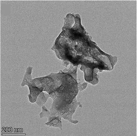 Open access visualization of Microscopy, TEM Image