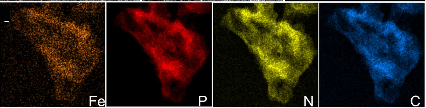 Open access visualization of Microscopy, HAADF-STEM Image, EDS Element Maps, Fe, P