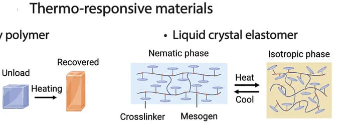 Open access visualization of Illustration, Workflow, Shape Morphing, Body Temperature, Intelligent Materials