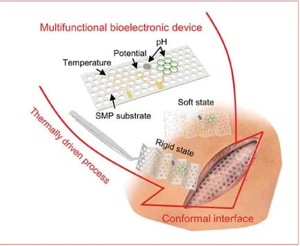 Open access visualization of Illustration, Workflow, ECoG, Multifunctional Device, Switchable Rigidity
