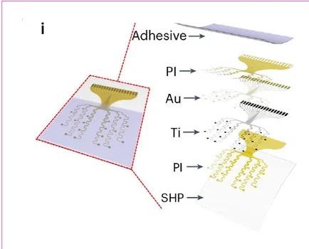 Open access visualization of Illustration, Workflow, Stretchable, Cortex-adhesive, ECoG Array