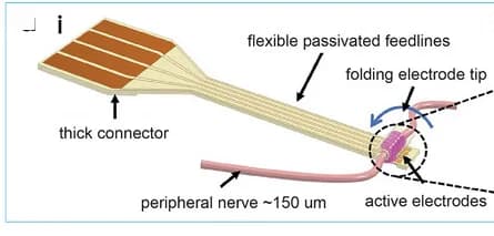 Open access visualization of Illustration, 3D Printed Electrode, Self-Folding Electrode, Hydrogel, Cuff Electrode