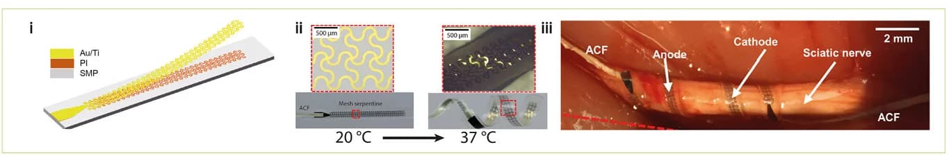 Open access visualization of Microscopy, Photo, Cuff Electrode, Shape Memory Effect, Body Temperature