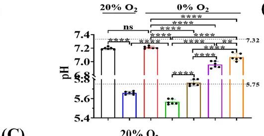Open access visualization of Bar Plot, Error Bars, pH, H9C2 Cells, Acidic Culture