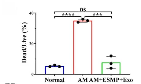 Open access visualization of Bar Plot, Error Bars, Cell Viability, Ki67 Positive Rate, HCOs