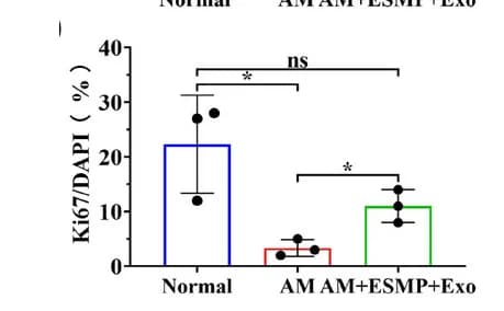 Open access visualization of Bar Plot, Error Bars, Scatter Plot, Cell Viability, Ki67 Positive Rate
