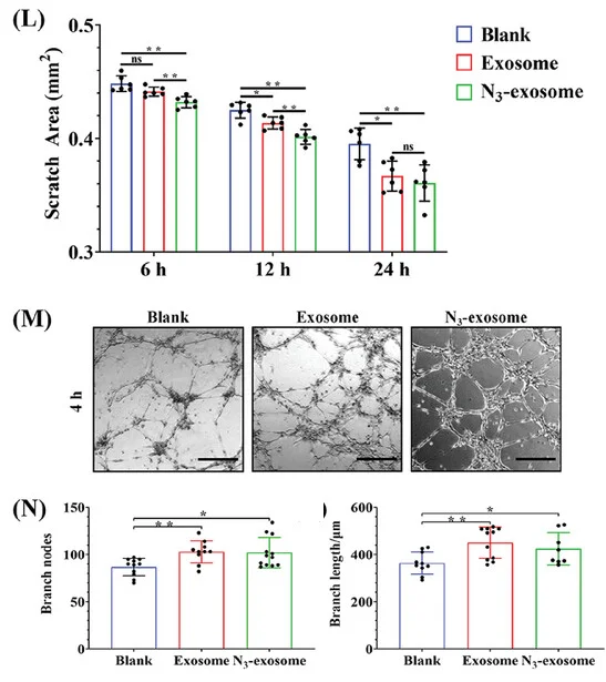 Open access visualization of Bar Plot, Error Bars, Photo, Microscopy, Branch Nodes