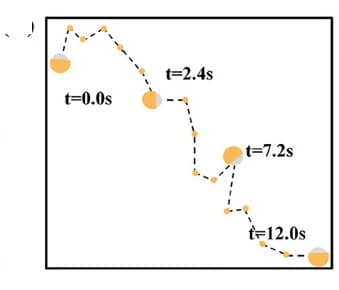 Open access visualization of Scatter Plot, Motion Trajectory, CaCO3/Proteins Particle, Ultrapure Water, Citric Acid Solution