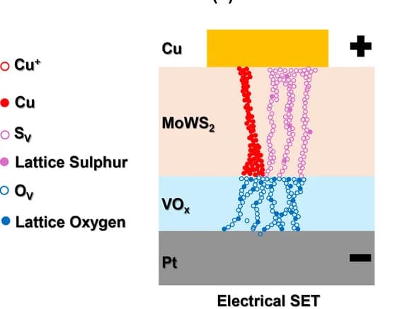 Open access visualization of Illustration, Schematic Representation, Electric Set Mechanism, Device