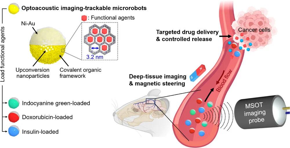 Open access visualization of Workflow, Illustration, Multispectral Optoacoustic Tomography, MSOT Imaging, Therapeutic Microrobots