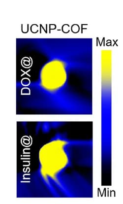 Open access visualization of Heatmap, MSOT Imaging, DOX@UCNP-COF, Insulin@UCNP-COF Particles, Agar Phantom