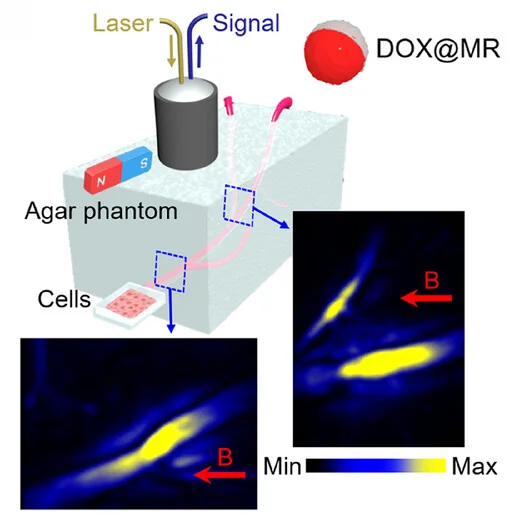 Open access visualization of Illustration, Microscopy, Magnetic Steering, Microrobots, MSOT Imaging