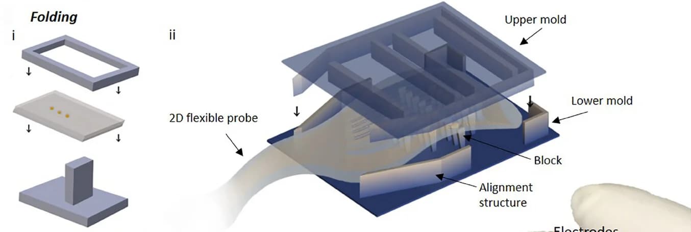 Open access visualization of Workflow, Illustration, Shanks, 2Dkirigamitemplate, Mold