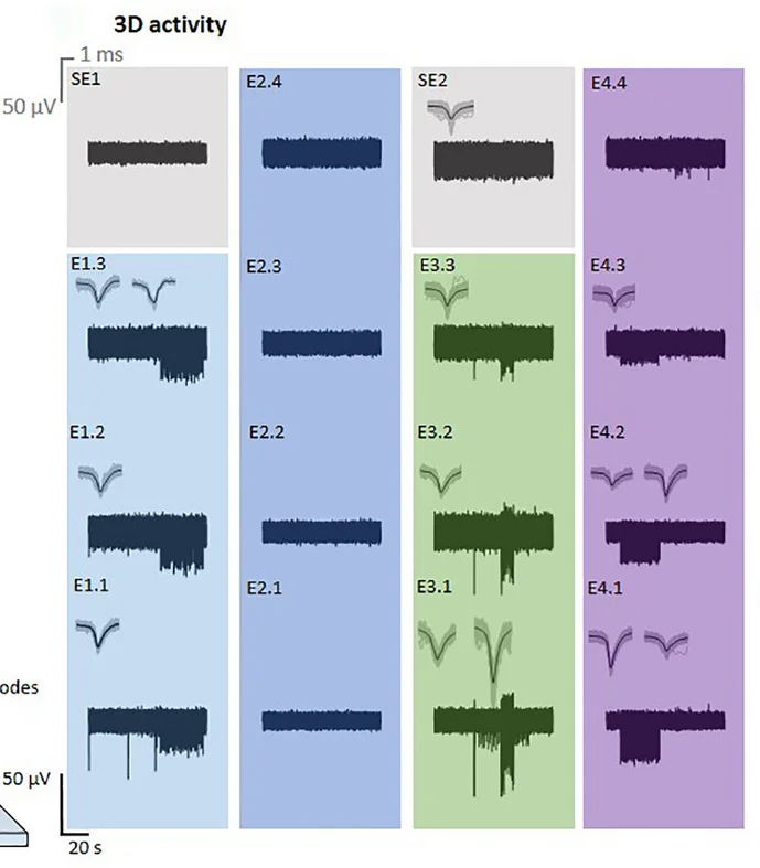 Open access visualization of Line Plot, Density Plot, Spiking Activity, aCSF, Electrodes