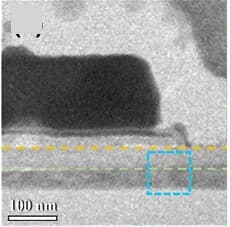 Open access visualization of Microscopy, TEM Image, Cycled Sample, Low-Magnification
