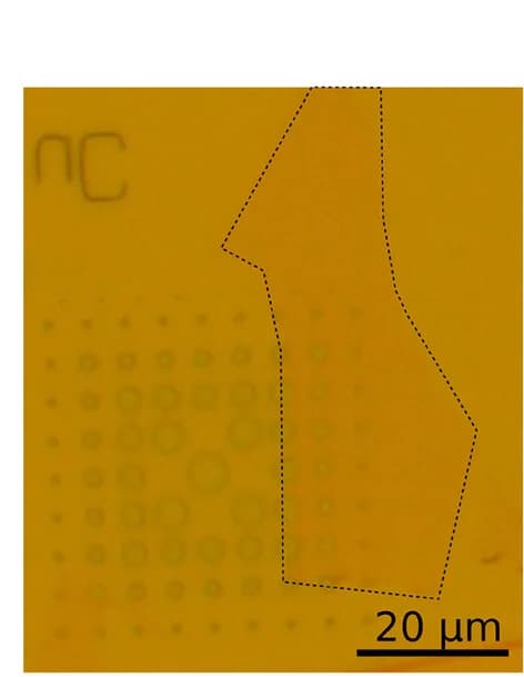 Open access visualization of Microscopy, Real Space, Bright-Field Reflection, WS2 Monolayer, RT