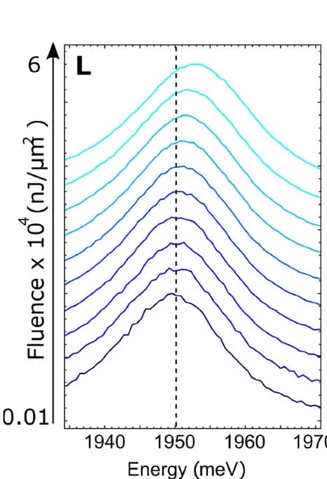 Open access visualization of Line Plot, Density Plot, Transmitted Spectra, Pulsed Laser, Polariton Mode