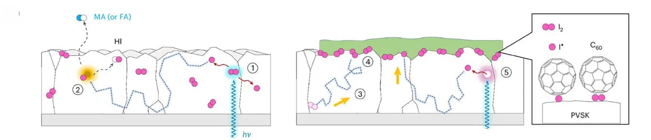 Open access visualization of Illustration, Workflow, Self-degradation, Iodine, Photolysis