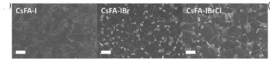 Open access visualization of Microscopy, SEM Images, Morphologies, Mono-halide, Binary-halide