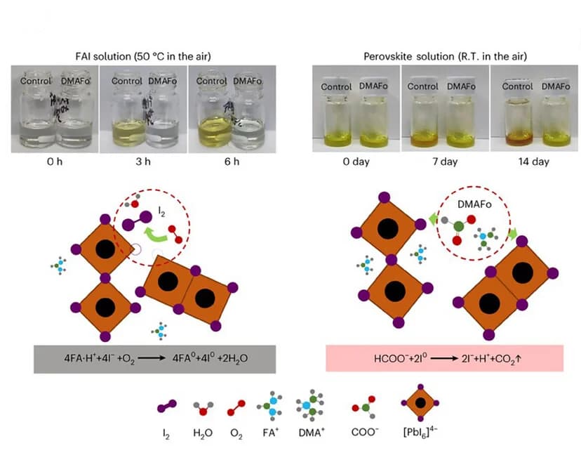 Open access visualization of Illustration, Photo, Chemical Structure, Photographs, Samples