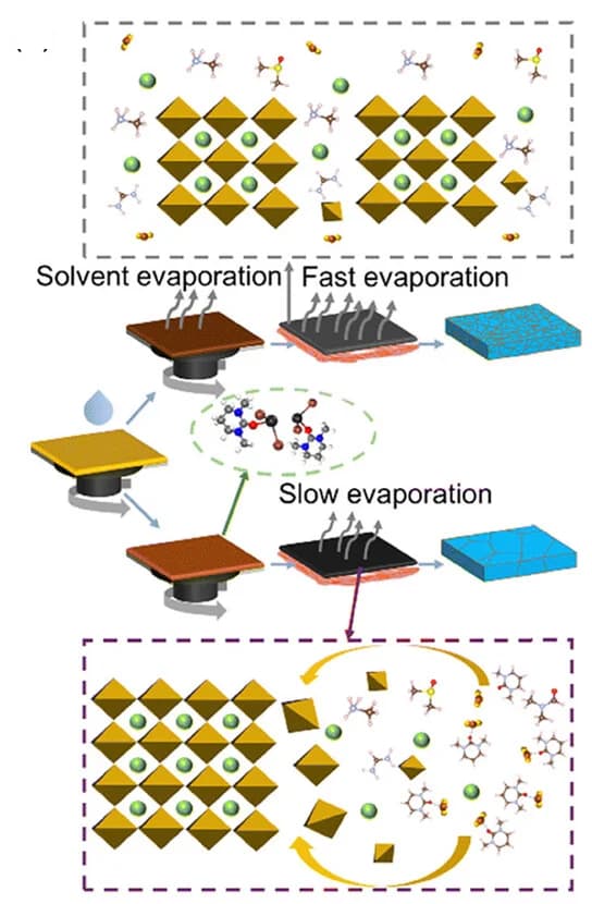 Open access visualization of Workflow, Illustration, Perovskite Film, DMPU, Growth Pathways
