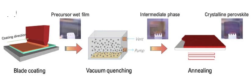 Open access visualization of Workflow, Illustration, Vacuum-Assisted Blade Coating, Perovskite Film, Deposition