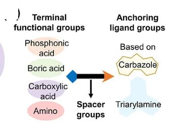 Open access visualization of Flowchart, Illustration, SAM Structures, Moiety Groups, Schematic Overview