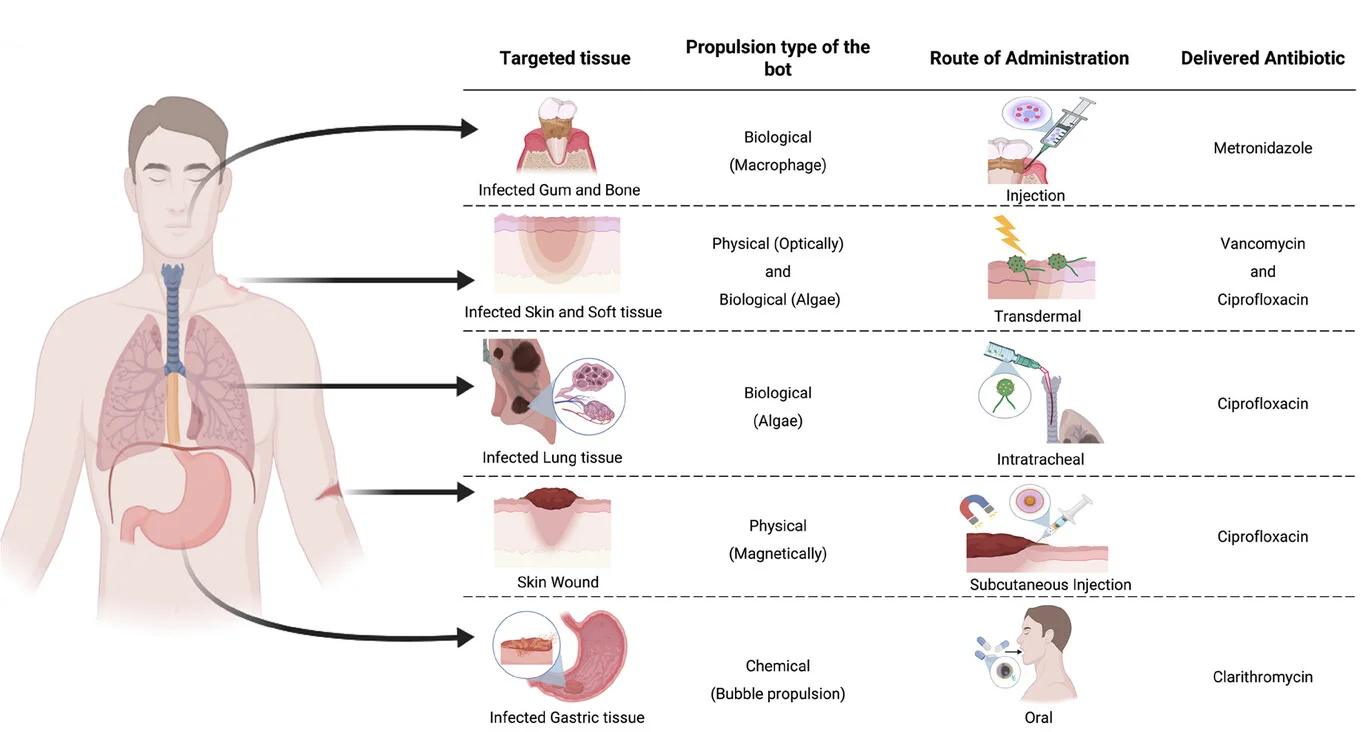 Open access visualization of Workflow, Illustration, MMBs, MNBs, Antibiotics