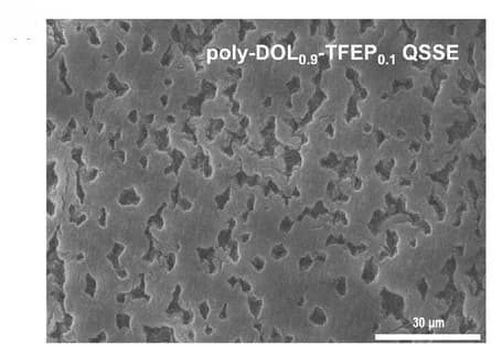 Open access visualization of Microscopy, Morphology, SEM, Surface Features, LMAs