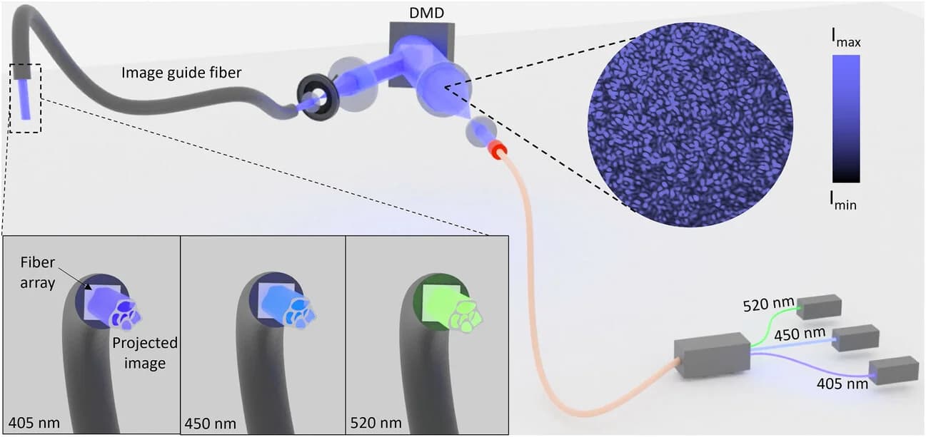 Open access visualization of Workflow, Illustration, FaSt-Light Apparatus, Image Patterns, Wavelengths