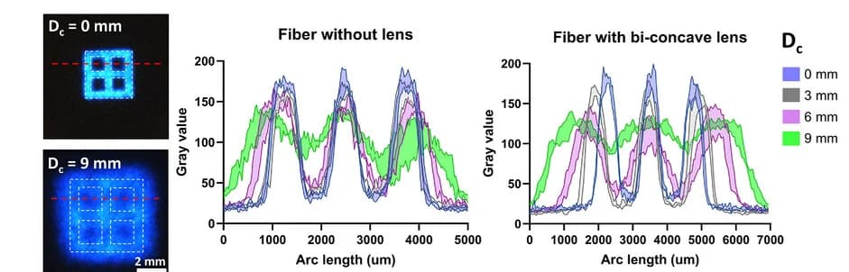 Open access visualization of Line Plot, Photo, Gray Value Estimation, Projected Image