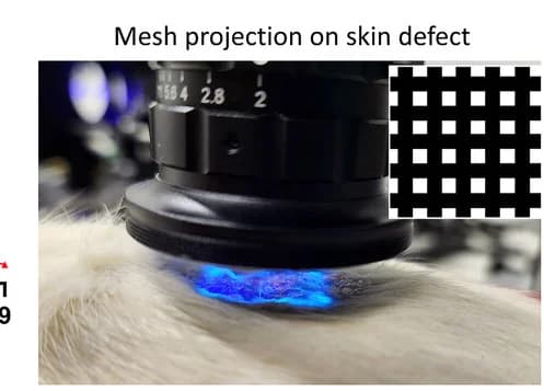 Open access visualization of Photo, Crosslinking, Resin, Rat Skin Defect, Crosslinked Mesh
