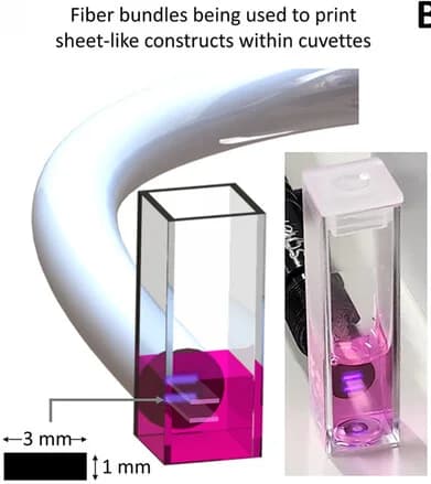 Open access visualization of Photo, Muscle Constructs, Fast-Light Projection, GelMA, LAP