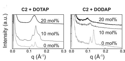 Open access visualization of Line Plot, C2, DOTAP, DODAP