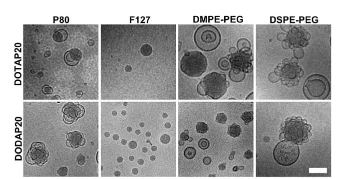 Open access visualization of Microscopy, CryoEM, Morphology, LNP, PBS