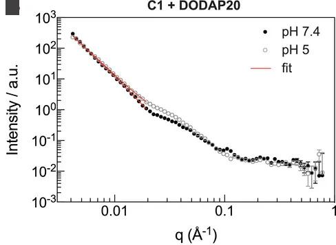Open access visualization of Line Plot, Error Bars, Small Angle Neutron Scattering, LNP Samples, Lipid Composition