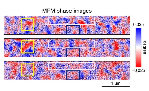 Open access visualization of Microscopy, 3D-PFM Images, MFM Phase Images, Poling, Coplanar Electrode
