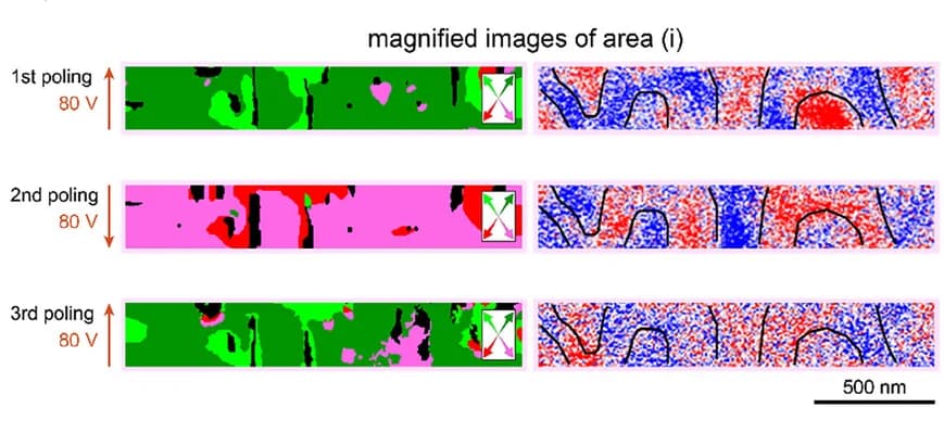 Open access visualization of Microscopy, 3D-PFM Images, MFM Phase Images, Magnetic Domain Boundaries