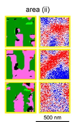 Open access visualization of Microscopy, 3D-PFM Images, MFM Phase Images, Magnetic Domain Boundaries