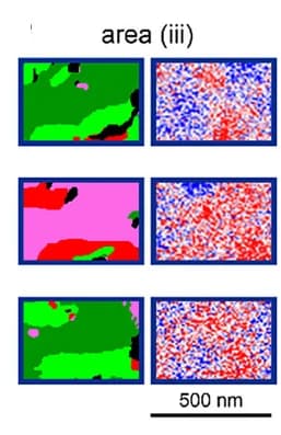 Open access visualization of Microscopy, 3D-PFM Images, MFM Phase Images, Magnetic Domain Boundaries