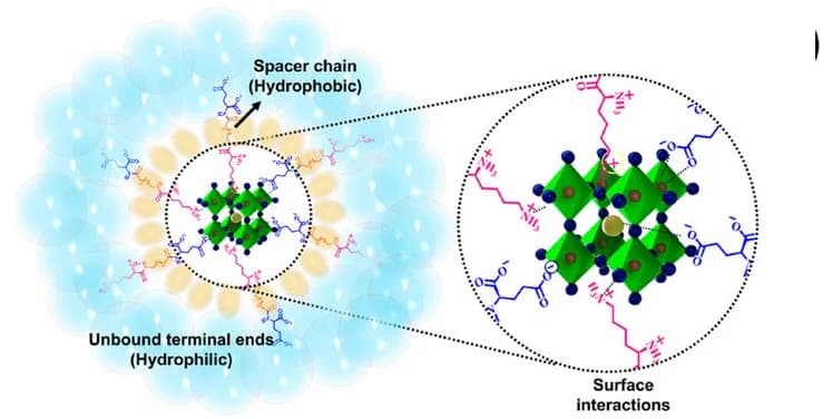 Open access visualization of Illustration, Chemical Structure, MUTAB, Ligand, Perovskite