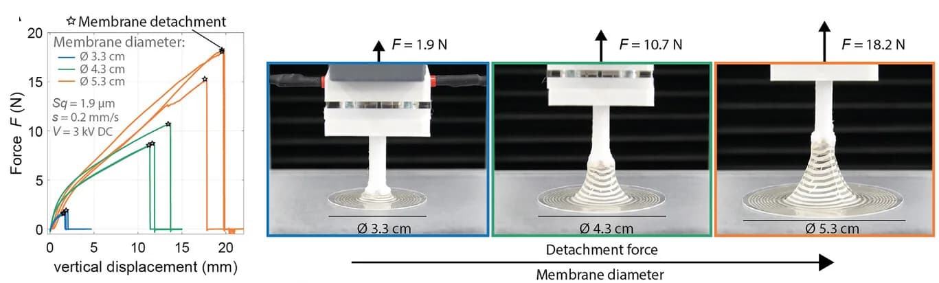Open access visualization of Line Plot, Photo, Lifting Force, Membrane Diameter, Vertical Displacement
