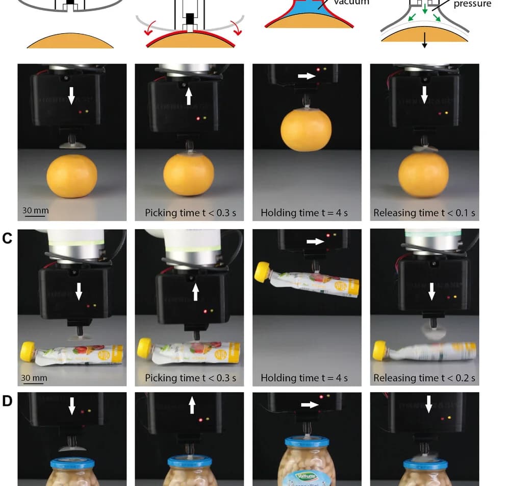 Open access visualization of Photo, MovieS2, Objects, Orange, Soft Pouch