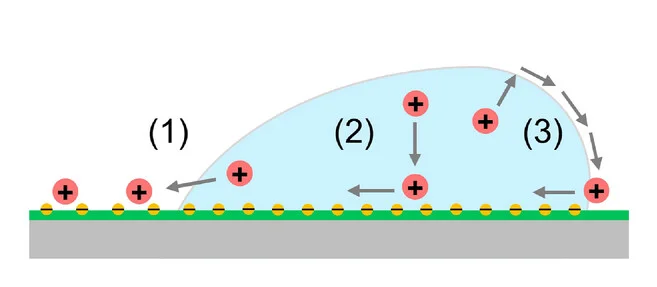 Open access visualization of Illustration, Workflow, Deposition Processes, PDI, Anions