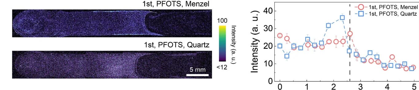 Open access visualization of Line Plot, Error Bars, Microscopy, Heatmap, Fluorescence Images