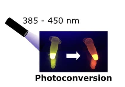 Open access visualization of Photo, UV Light