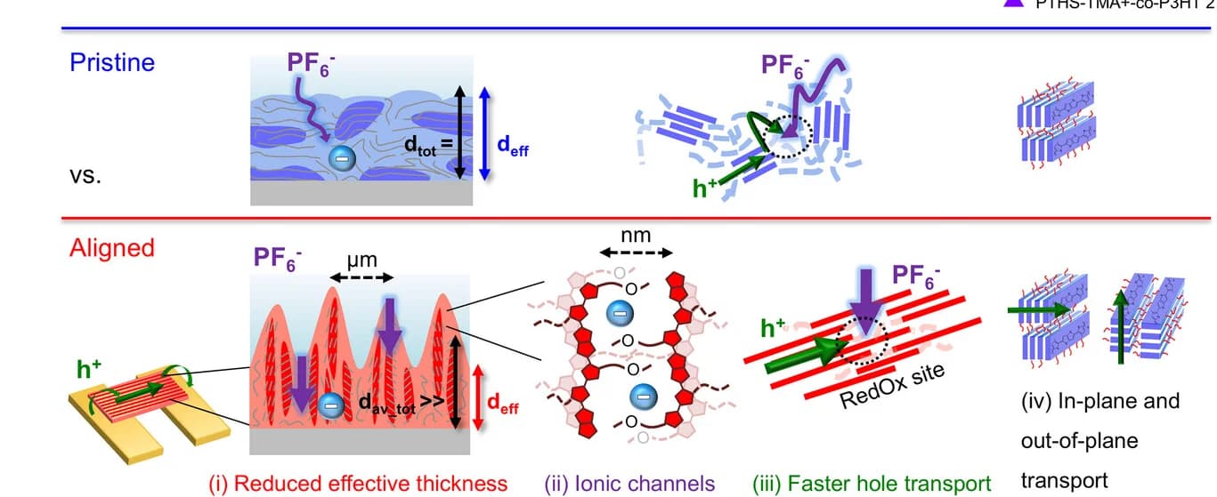 Open access visualization of Illustration, Signal Amplification, ON/OFF Response, Device Parameters