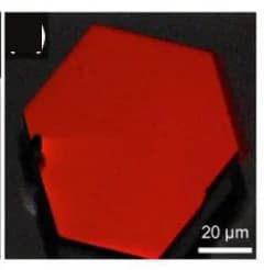 Open access visualization of Microscopy, EBSD Inverse Pole Figure-Z Image, MoP Nanoplates, Hexagonal Morphology, Smooth Surfaces