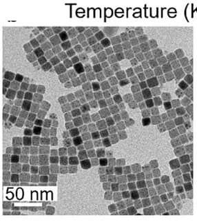 Open access visualization of Microscopy, TEM, CsPbBr3NCs